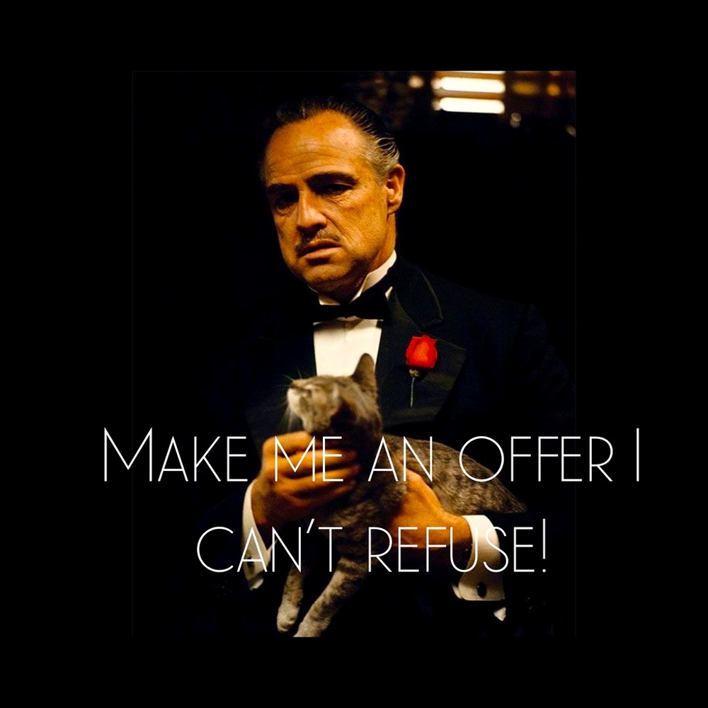 Make me an offer I can’t refuse! 🤗✨🛍🎁